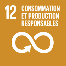 ONU ODD Consommation responsable 12