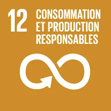 ONU ODD Consommation responsable 12