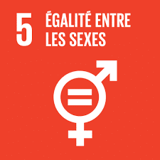 ONU ODD Egalité entre les sexes 5