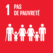 ONU ODD Pauvreté 1