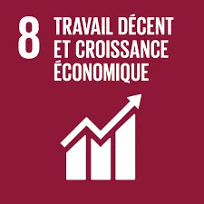 ONU ODD Travail décent 8