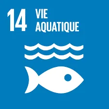 ONU ODD Vie aquatique 14