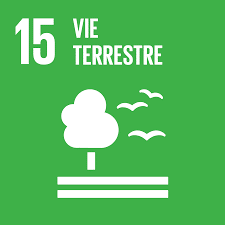 ONU ODD Vie terrestre 15