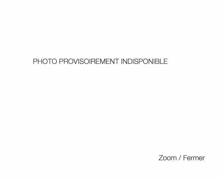 Pendentif sur chaîne
